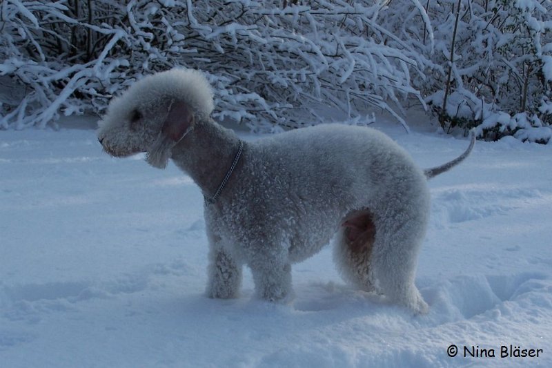 Svet 2008-01-05 (17).JPG